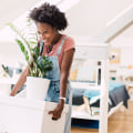 Understanding Credit Scores: A Comprehensive Guide for Renters